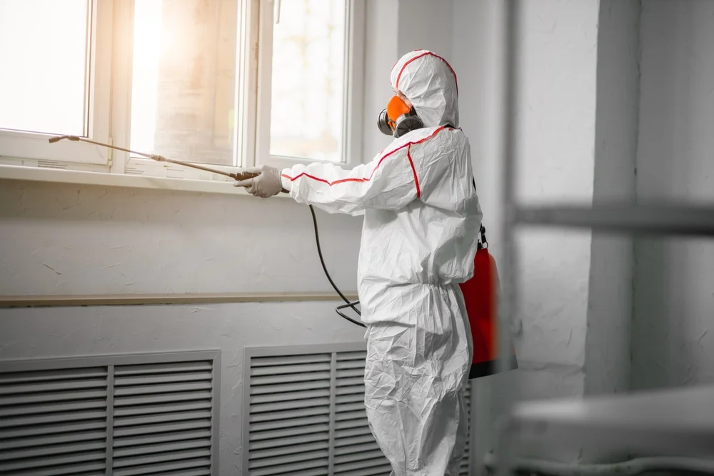 Professional mold remediation services in Holmen, WI